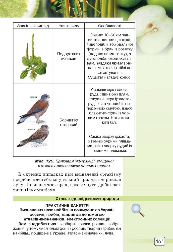 Природознавство 5 клас Ярошенко 2018