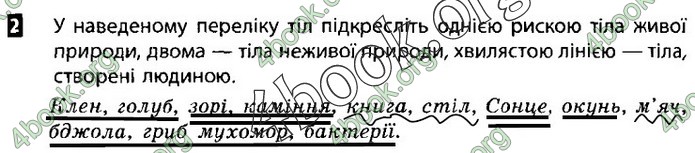 Зошит Природознавство 5 клас Демічева (Коршевнюк)