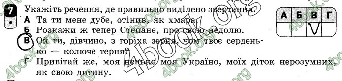 Зошит Українська мова 8 клас Жовтобрюх