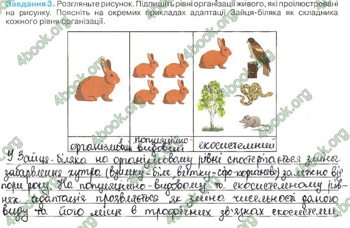 Зошит Біологія 11 клас Андерсон 2019. ГДЗ