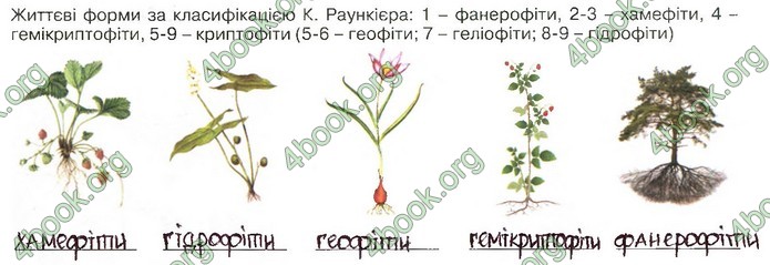 Зошит Біологія 11 клас Андерсон 2019. ГДЗ