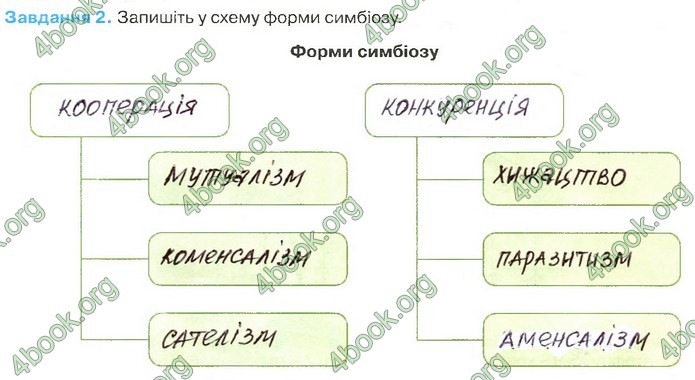 Зошит Біологія 11 клас Андерсон 2019. ГДЗ