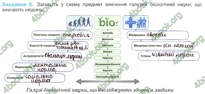 Зошит Біологія 11 клас Андерсон 2019. ГДЗ