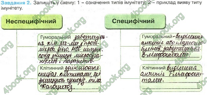 Зошит Біологія 11 клас Андерсон 2019. ГДЗ