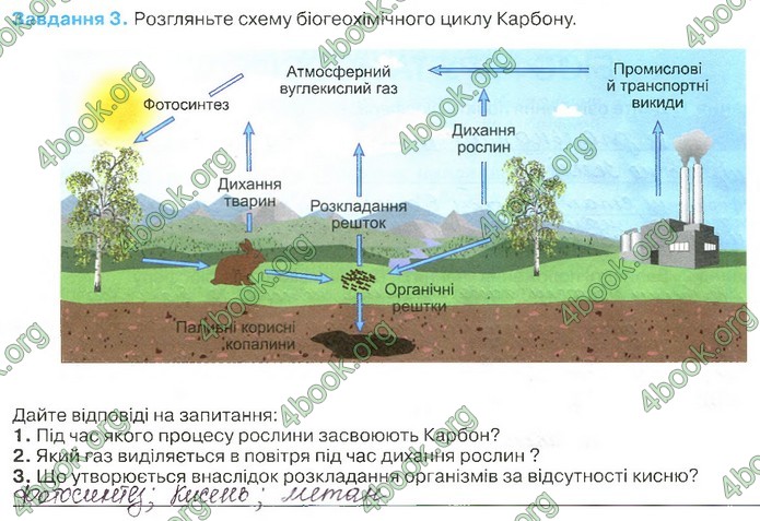 Зошит Біологія 11 клас Андерсон 2019. ГДЗ