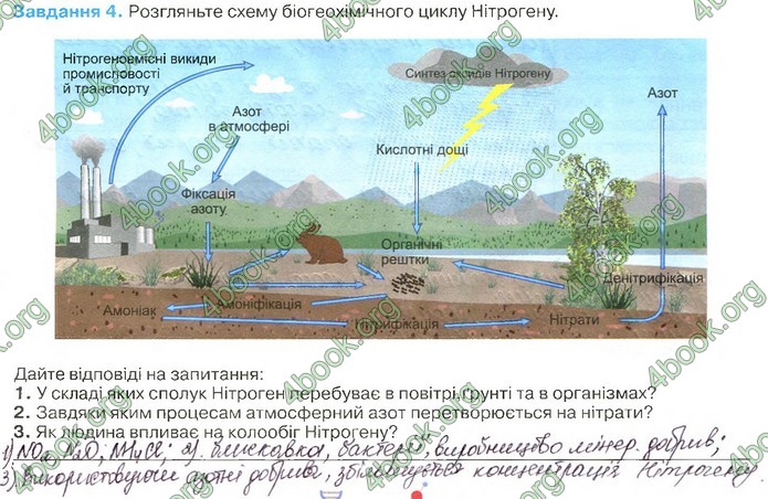 Зошит Біологія 11 клас Андерсон 2019. ГДЗ