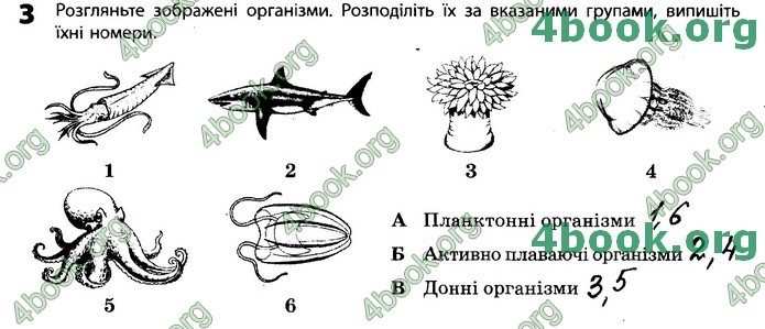 Зошит Біологія 11 клас Задорожний 2019. ГДЗ