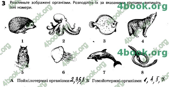 Зошит Біологія 11 клас Задорожний 2019. ГДЗ