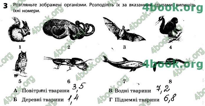 Зошит Біологія 11 клас Задорожний 2019. ГДЗ