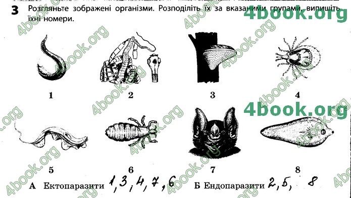 Зошит Біологія 11 клас Задорожний 2019. ГДЗ