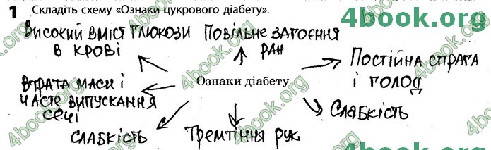 Зошит Біологія 11 клас Задорожний 2019. ГДЗ