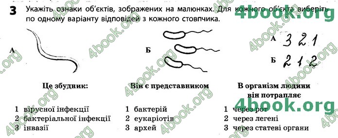 Зошит Біологія 11 клас Задорожний 2019. ГДЗ