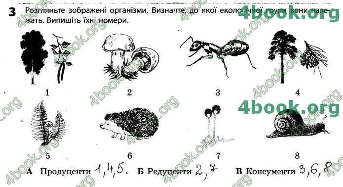 Зошит Біологія 11 клас Задорожний 2019. ГДЗ