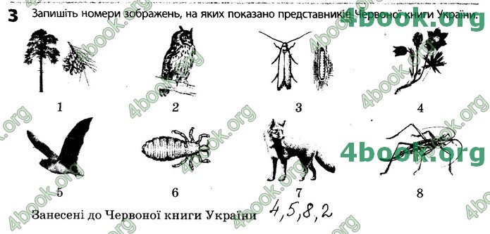 Зошит Біологія 11 клас Задорожний 2019. ГДЗ