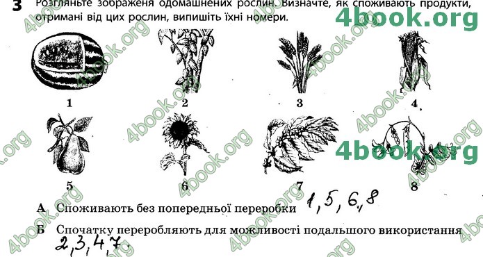 Зошит Біологія 11 клас Задорожний 2019. ГДЗ