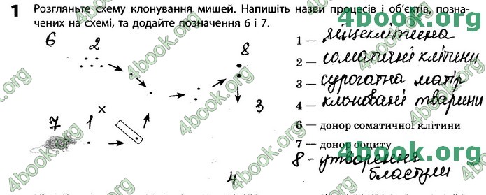 Зошит Біологія 11 клас Задорожний 2019. ГДЗ