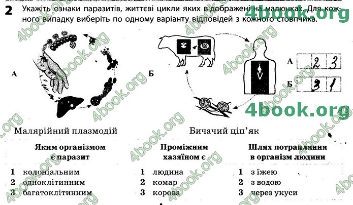 Зошит Біологія 11 клас Задорожний 2019. ГДЗ