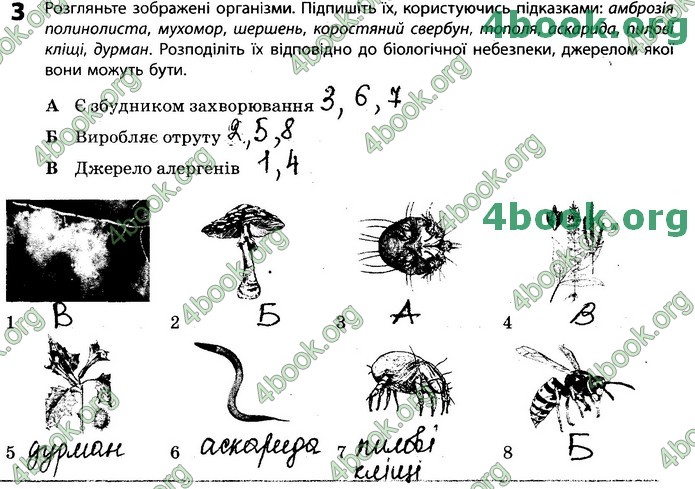 Зошит Біологія 11 клас Задорожний 2019. ГДЗ