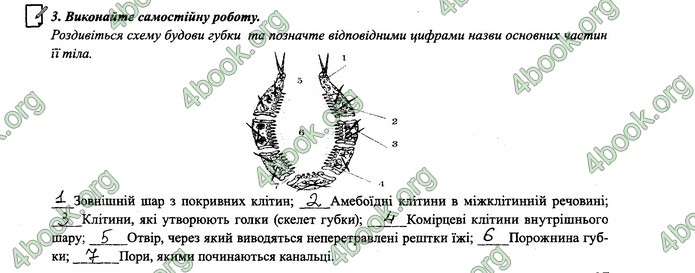 Зошит Біологія 6 клас Поліщук