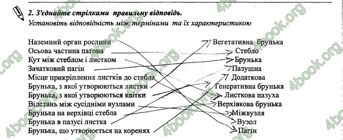 Зошит Біологія 6 клас Поліщук