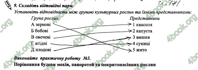 Зошит Біологія 6 клас Поліщук