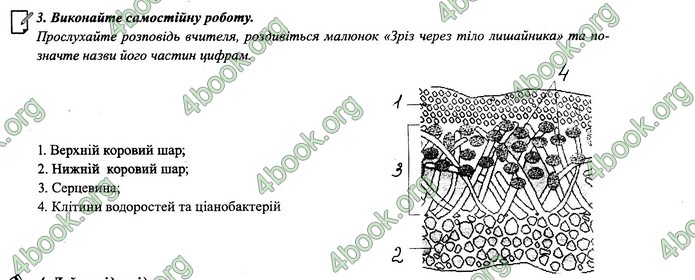 Зошит Біологія 6 клас Поліщук