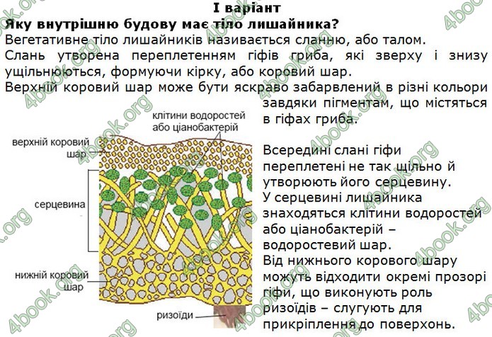 Зошит Біологія 6 клас Поліщук