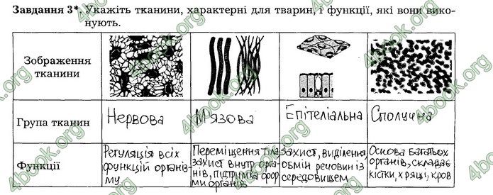 Робочий зошит Біологія 7 клас Мирна. ГДЗ