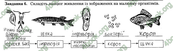 Робочий зошит Біологія 7 клас Мирна. ГДЗ