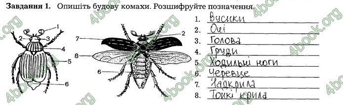 Робочий зошит Біологія 7 клас Мирна. ГДЗ