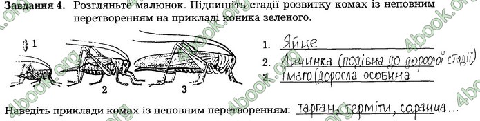 Робочий зошит Біологія 7 клас Мирна. ГДЗ