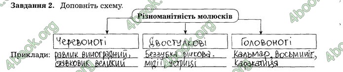 Робочий зошит Біологія 7 клас Мирна. ГДЗ