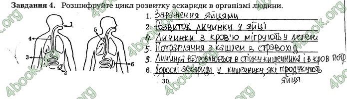 Робочий зошит Біологія 7 клас Мирна. ГДЗ