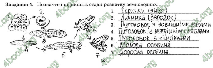 Робочий зошит Біологія 7 клас Мирна. ГДЗ