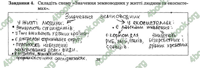 Робочий зошит Біологія 7 клас Мирна. ГДЗ