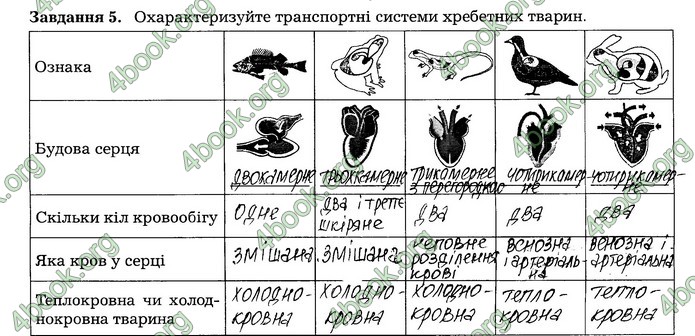 Робочий зошит Біологія 7 клас Мирна. ГДЗ