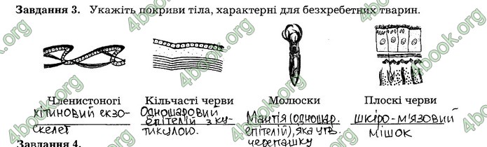 Робочий зошит Біологія 7 клас Мирна. ГДЗ