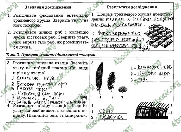 Робочий зошит Біологія 7 клас Мирна. ГДЗ