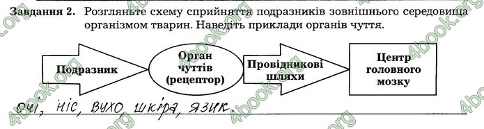 Робочий зошит Біологія 7 клас Мирна. ГДЗ