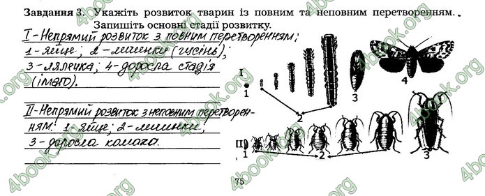 Робочий зошит Біологія 7 клас Мирна. ГДЗ