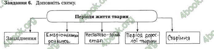 Робочий зошит Біологія 7 клас Мирна. ГДЗ