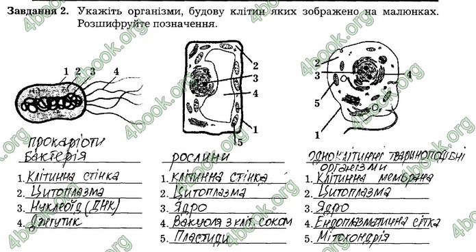 Робочий зошит Біологія 7 клас Мирна. ГДЗ