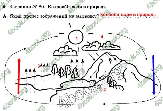 Зошит Природознавство 5 клас Демічева (Коршевнюк)