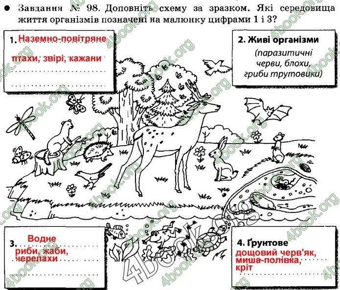 Зошит Природознавство 5 клас Демічева (Коршевнюк)