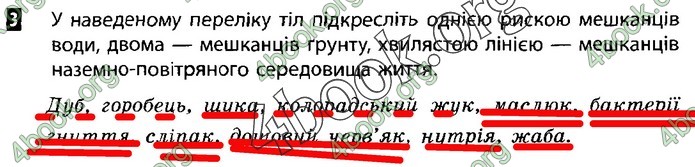 Зошит Природознавство 5 клас Демічева (Коршевнюк)