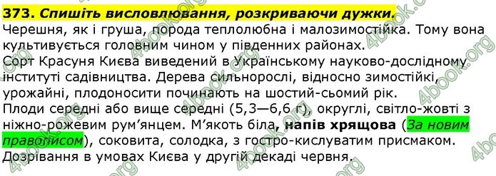 ГДЗ Українська мова 10 клас Ворон 2018