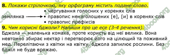 Збірник Українська мова 4 клас Сапун ДПА 2020. Відповіді