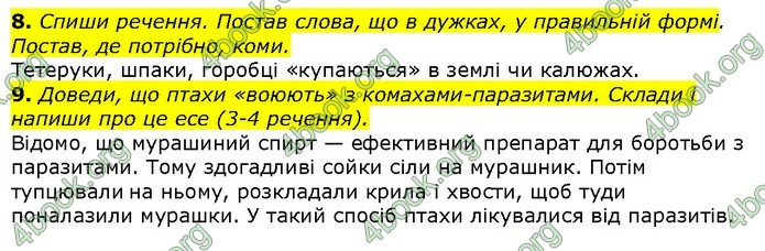 Орієнтовні контрольні Українська мова 4 клас Савчук ДПА 2020. Відповіді 