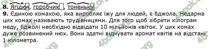 Українська мова 4 клас Шевченко ДПА 2020 (Укр.) Відповіді 