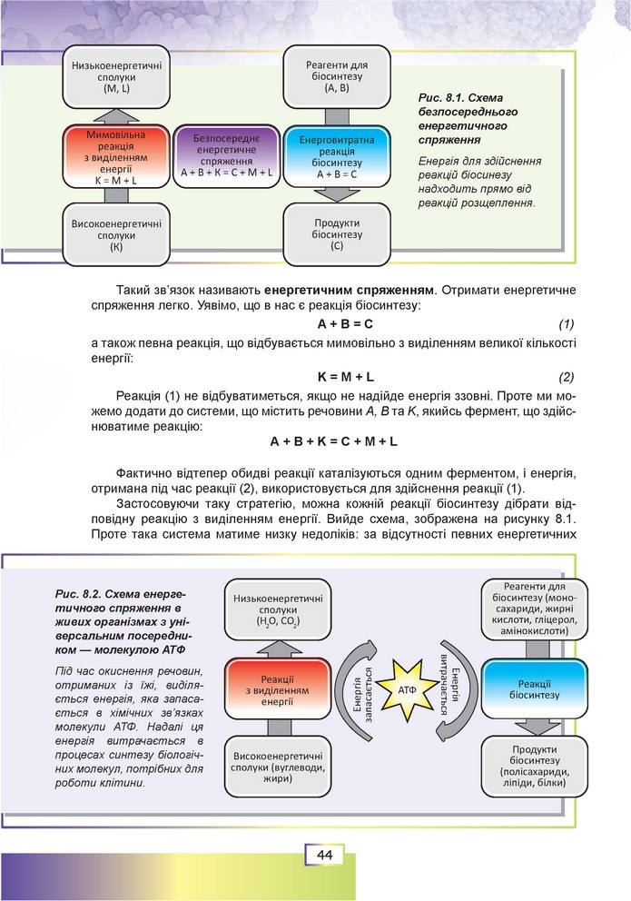 Біологія 9 клас Шаламов